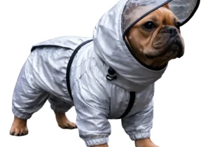 Pilot para mascota xs