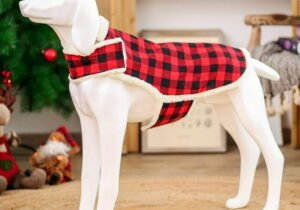 Ropa cuadrille con corderito